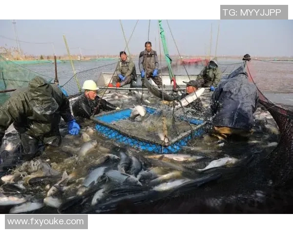 青岛国信水产助力当地渔业扶贫项目取得丰收成果